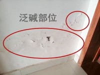 瓷磚反堿補(bǔ)救徹底解決方法？清理瓷磚的技巧？